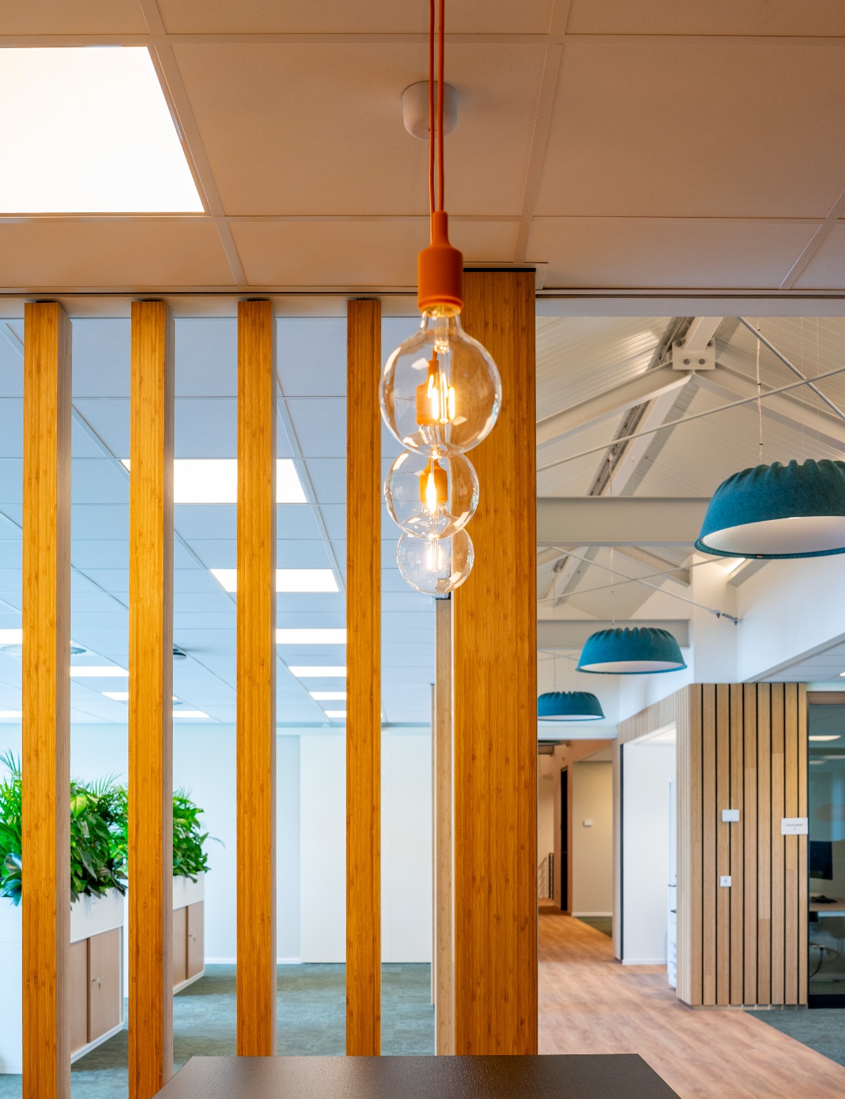 Girl in a jacket